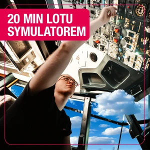 20-minute flight on the best airliner Boeing 737-800 simulator for one person