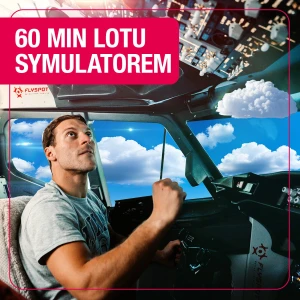60-minute flight on the best airliner Boeing 737-800 simulator for one person
