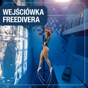 Package for a person with a Freediving license - one dive