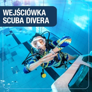 Package for a person with a Scuba license - one dive