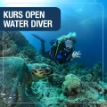 Open Water Diver Course