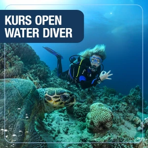 Open Water Diver Course