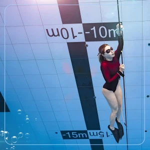 Free Immersion Course