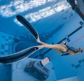 Freediver Entry