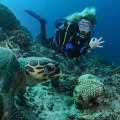 Open Water Diver Course