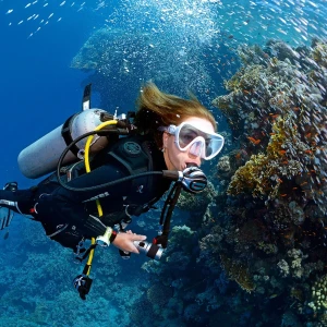 Open Water Diver Course