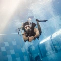 Scuba Refresh