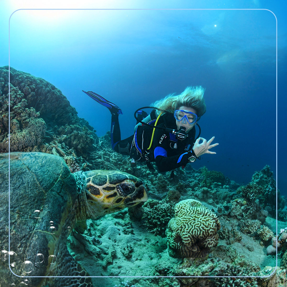 Open Water Diver Course
