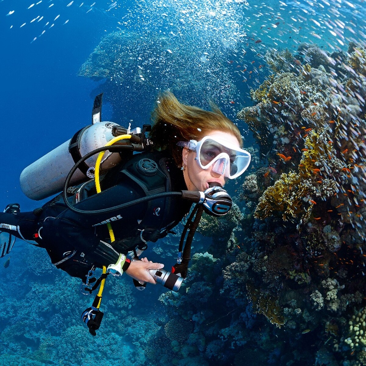 Open Water Diver Course